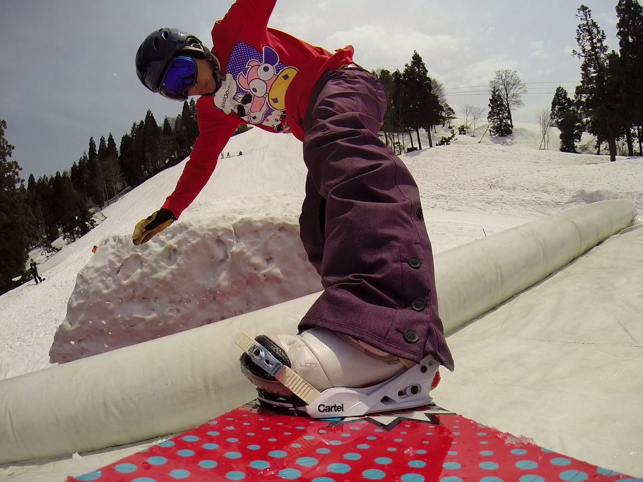 vlcsnap-2014-04-29-08h16m55s233