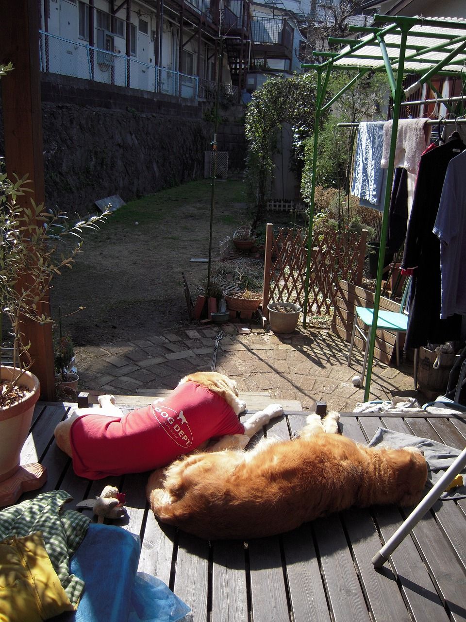DSCN0031