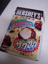 DSCN5587