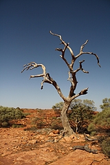 Kings Canyon 3