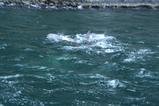 31 Milford Sounds 122