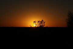 Ayers Rock 7
