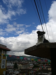 San Cristobal 3
