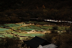 黄龍 4