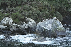 Milford Sounds 3