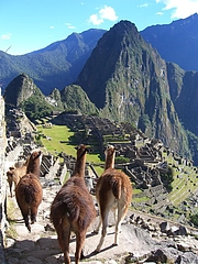 Machu Picchu 9