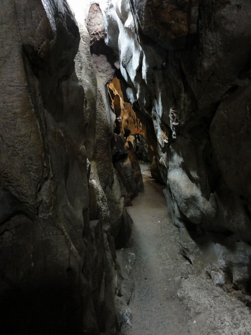 DSC05348