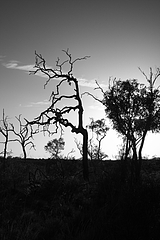 Ayers Rock 6