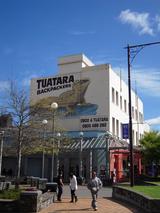 26 Tuatara backpackers 1