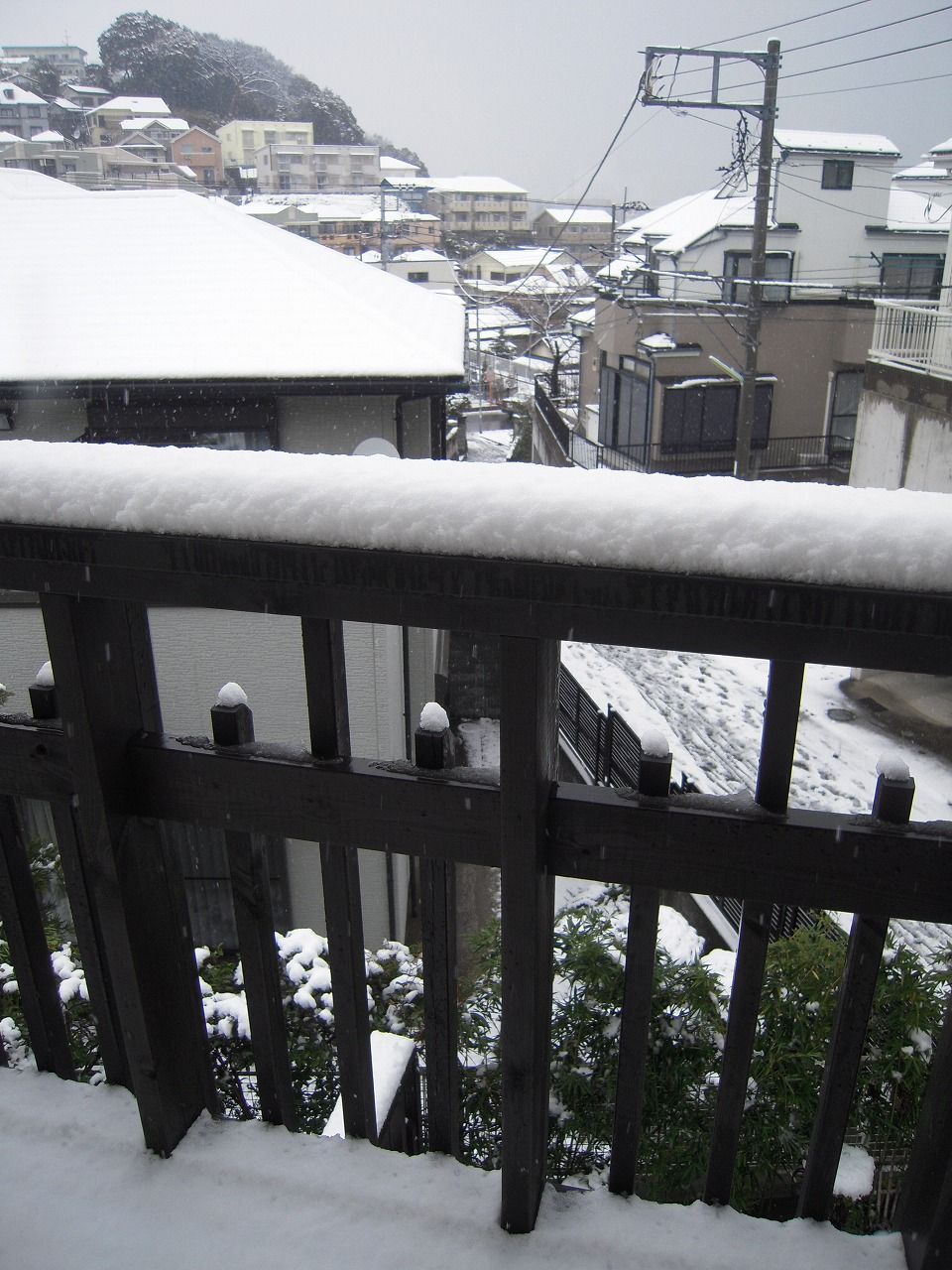 29 Snowy 3
