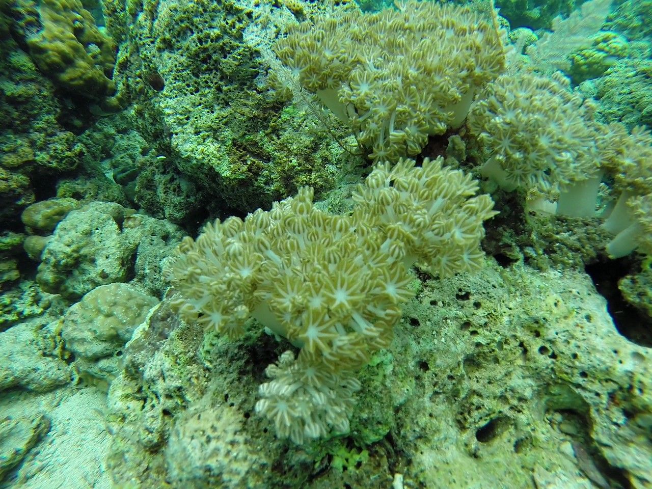 GOPR0848