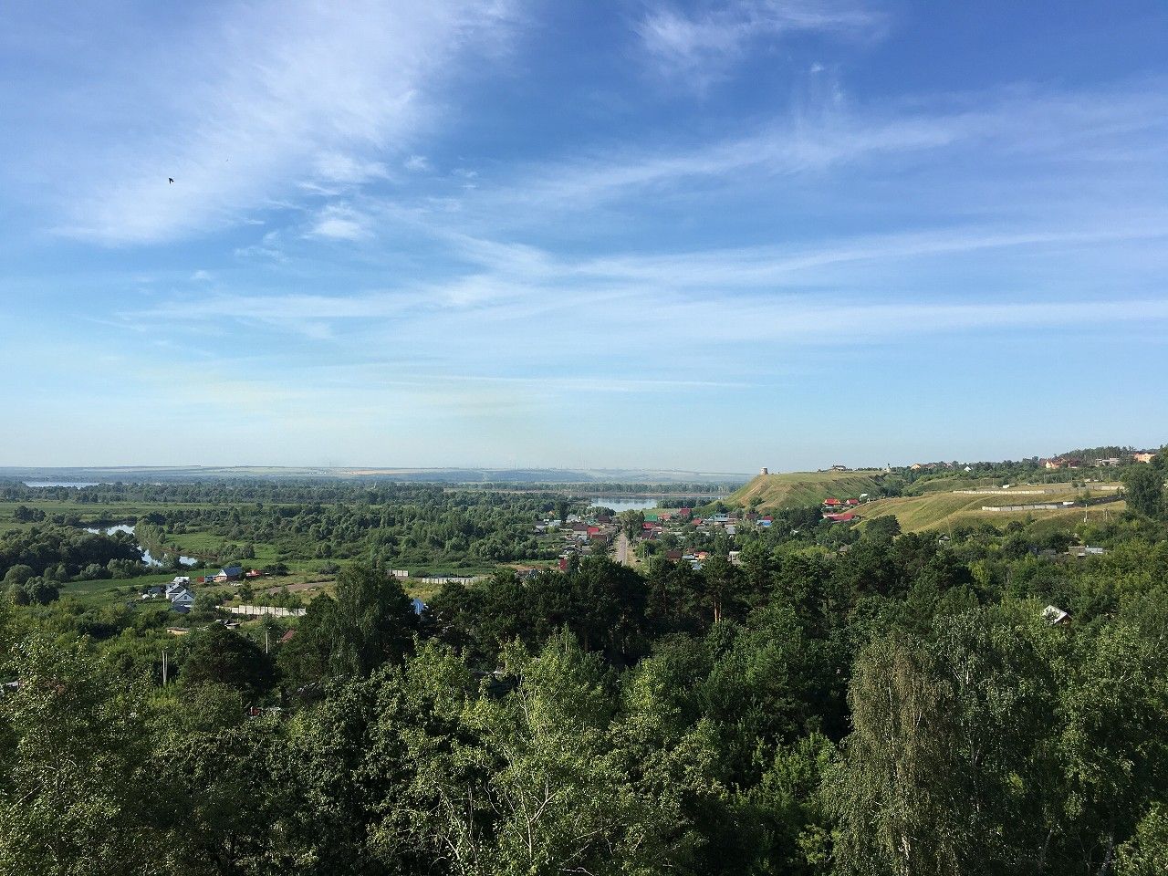 IMG_0545