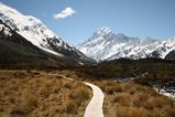 23 Hooker Valley Track 46