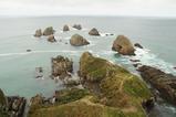 26 Nugget Point 4