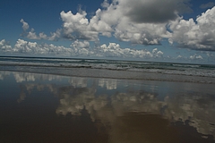 North Stradbroke Is 5