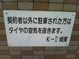 f41f0f51.jpg