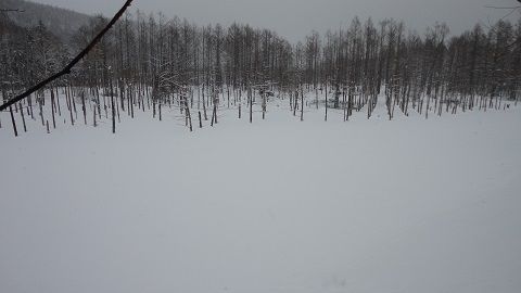 DSC02371_480_270