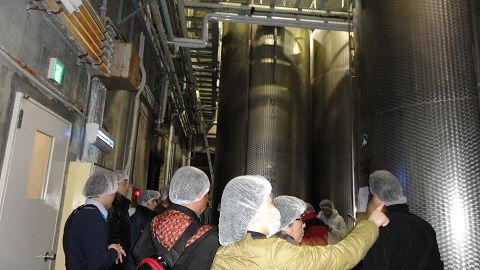 DSC02411_480_270