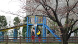 大横川花4
