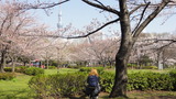 猿江公園タワー2