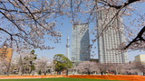 錦糸公園タワー