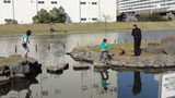 旧中川