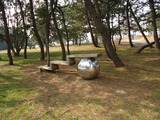 若洲海浜公園5