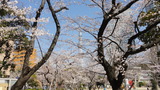 錦糸公園タワー2