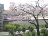 隅田川花見