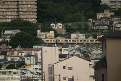 HS1000_A393