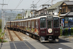 HK8313-KOTO_A204