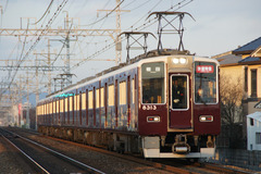 HK8313-KOTO_53