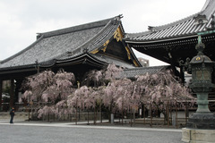 201504Kyoto_048