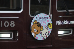 HK1000RK2_117
