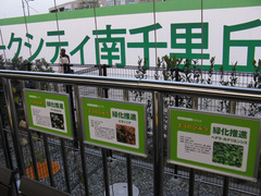 HK-setushi_47