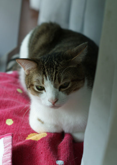 DSC00121