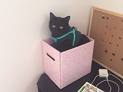 おまけ1