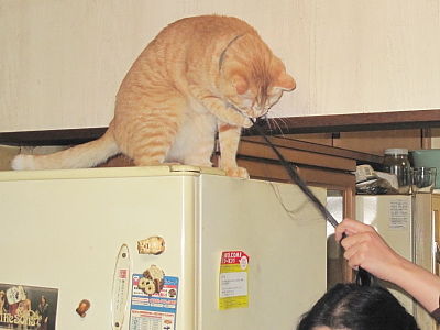 放してくれず