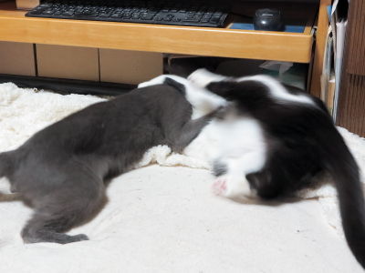 4ヒメちゃんの攻撃