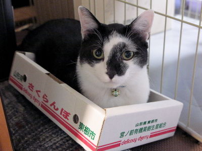 9余裕