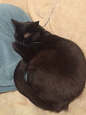 おまけ2