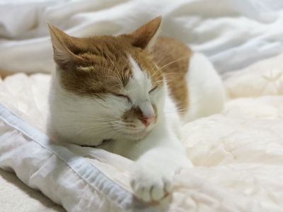 2あっくん