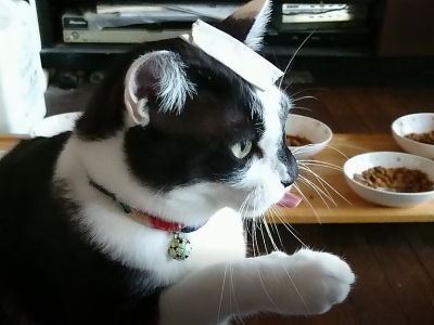 小鉄3