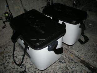 DSCN5501