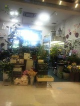新しい花屋さん