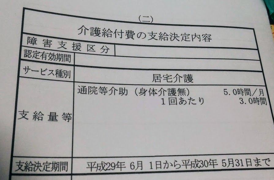 支給決定内容