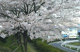 inoue-s