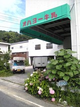 takatyoh-g