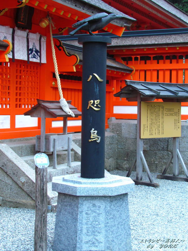 8273八咫烏130812