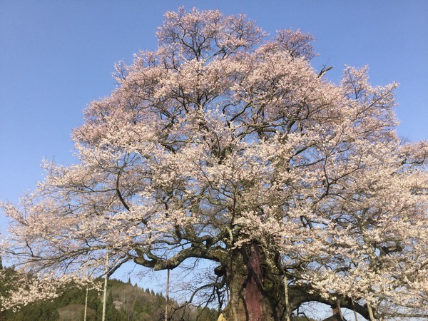 1EB04A80-82FC-4145-ABA7-452DDA7E218A